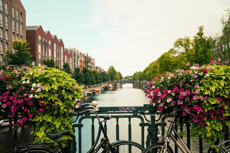 Flower-covered bridge, Amsterdam