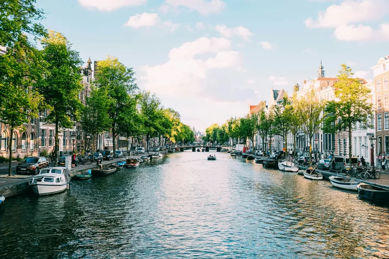 Tree-lined canal, Amsterdam