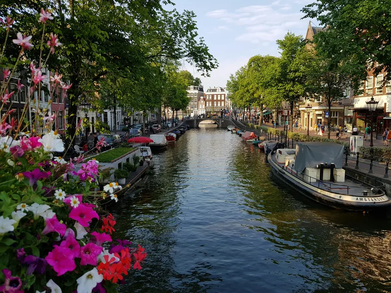Summer canal flowers, Amsterdam