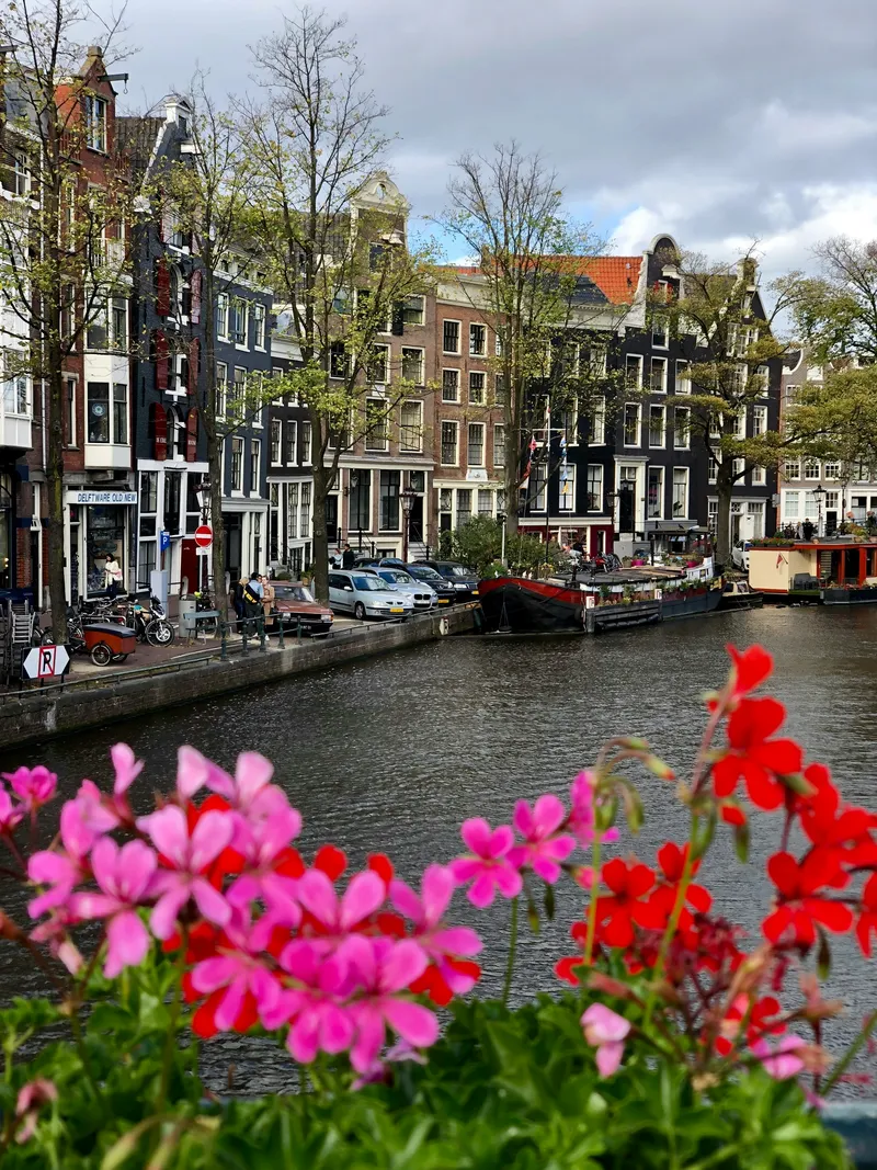 Flowers beside a canal, Amsterdam
